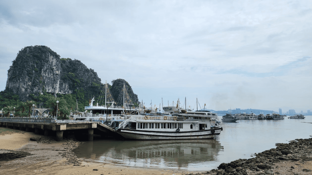 Tuan Chau Island impresses with its modern resorts, famous water music stage, and strategic gateway location to Ha Long Bay (Source: Pexels)